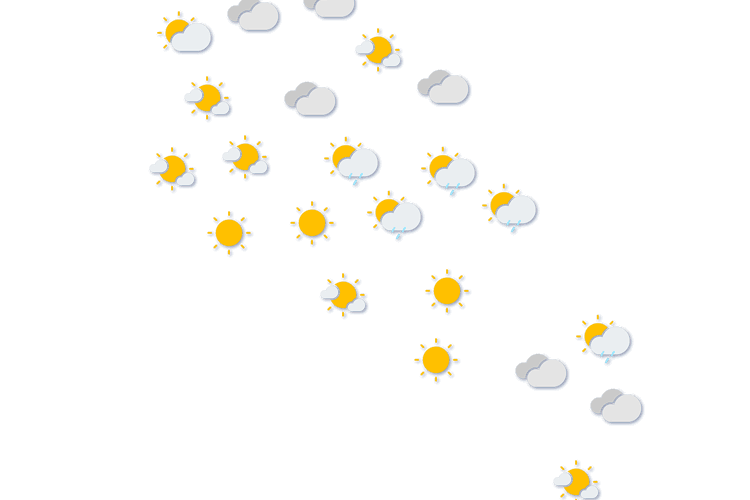 Forecast