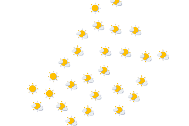 Forecast