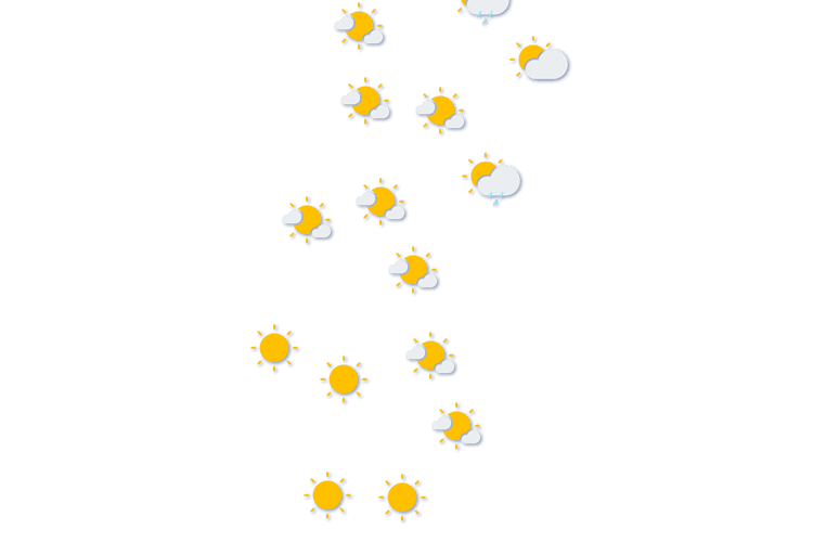 Forecast