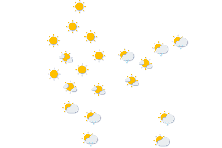 Forecast