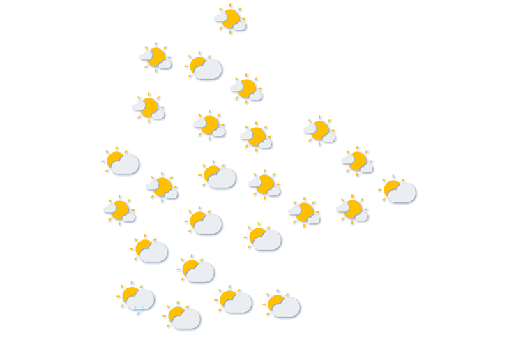 Forecast