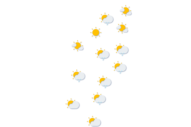 Forecast