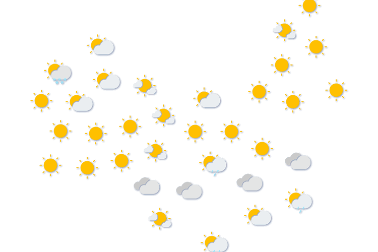 Forecast