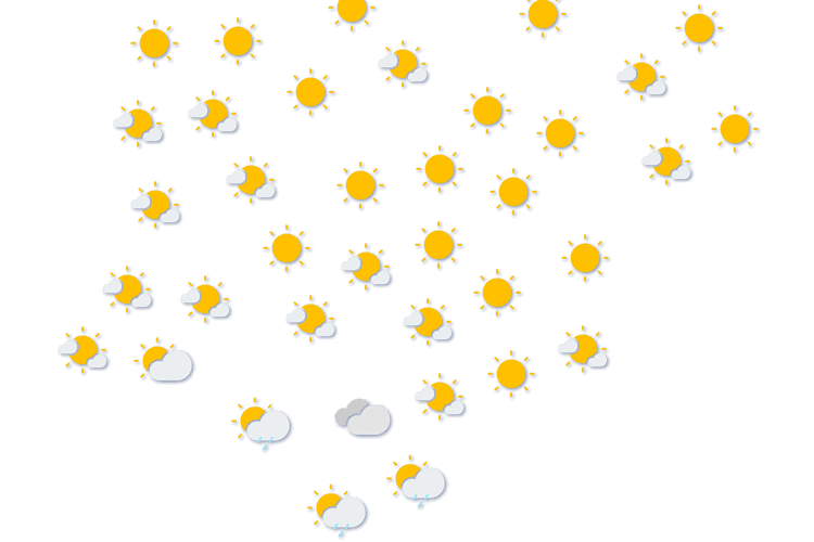 Forecast