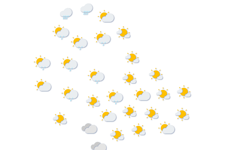 Forecast