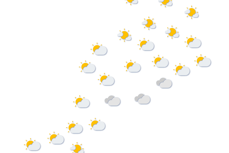 Forecast