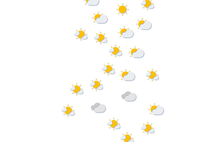 Forecast