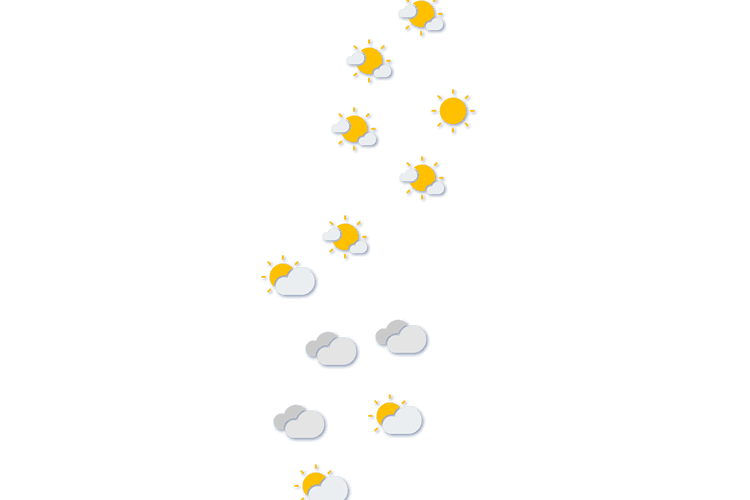 Forecast
