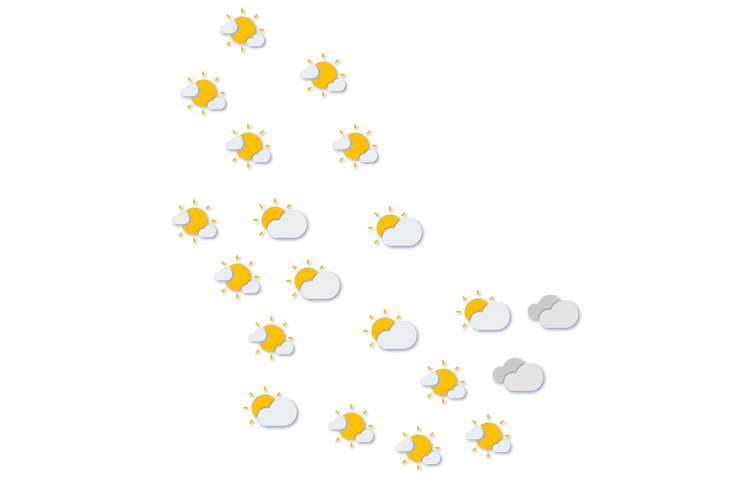Forecast