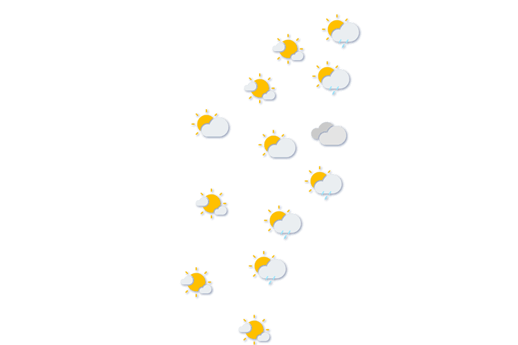 Forecast