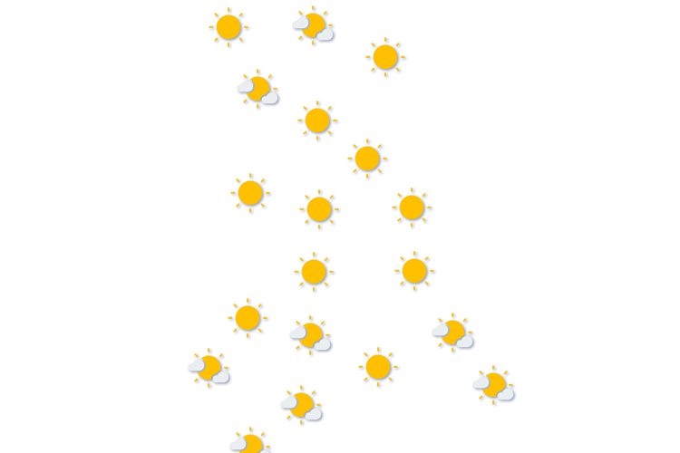 Forecast