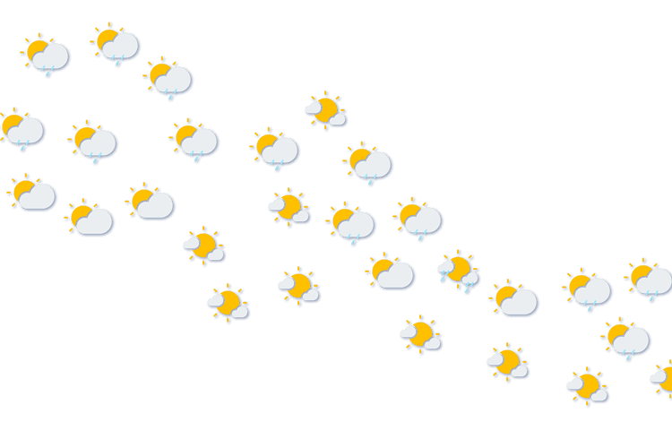 Forecast