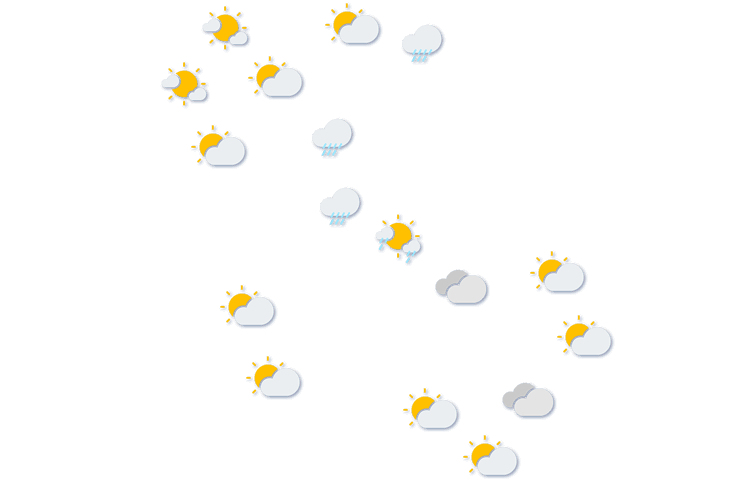 Forecast