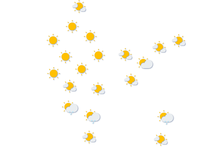 Forecast