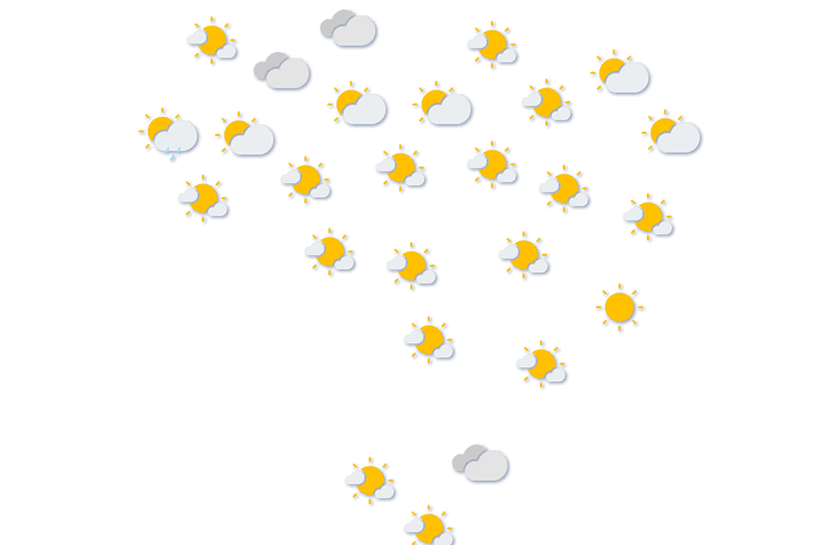 Forecast