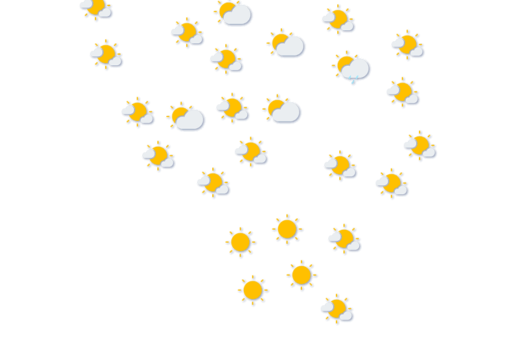 Forecast