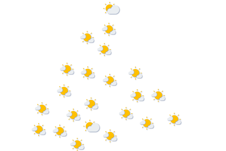 Forecast