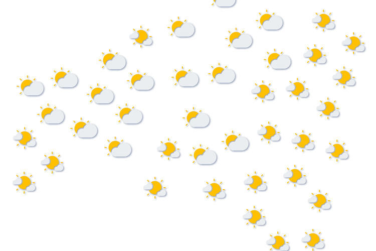 Forecast