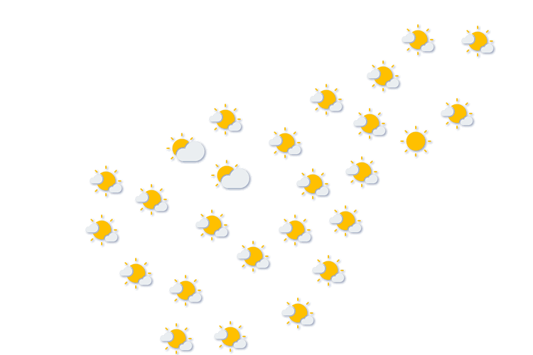 Forecast