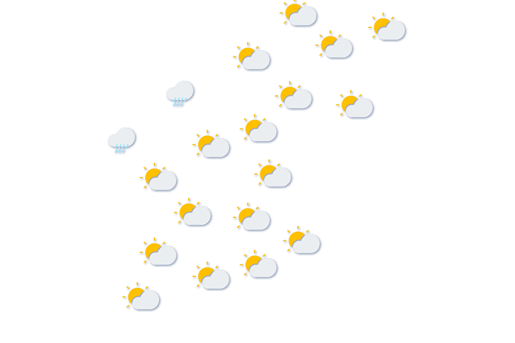 Forecast