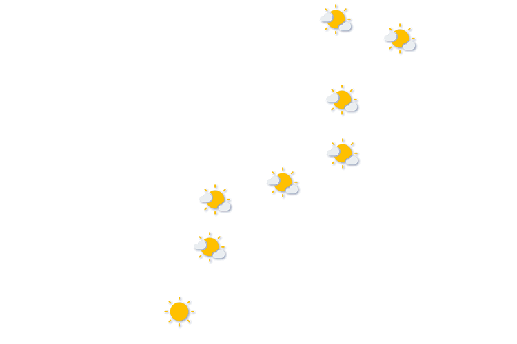Forecast