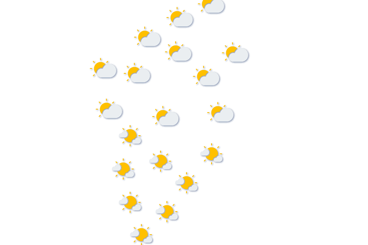 Forecast