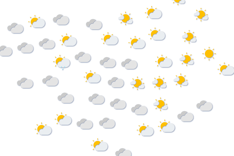 Forecast