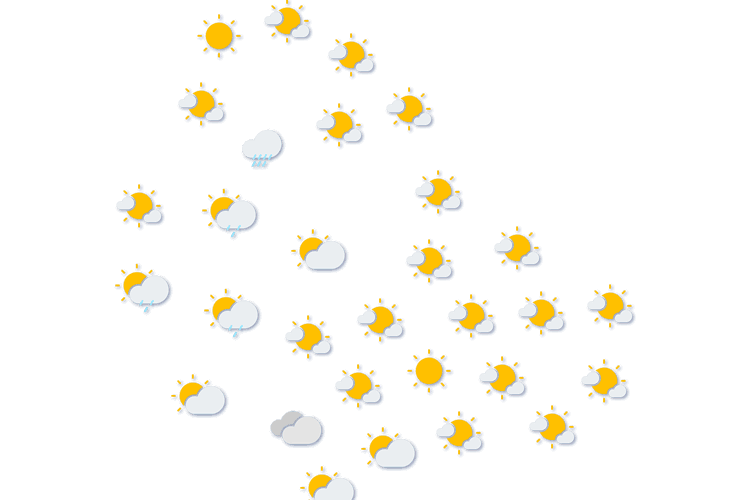 Forecast