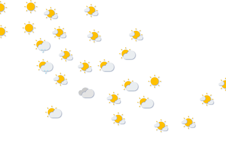 Forecast