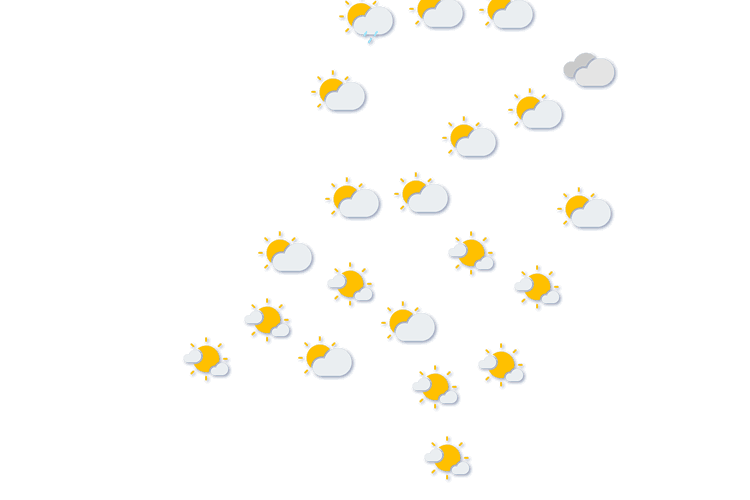 Forecast