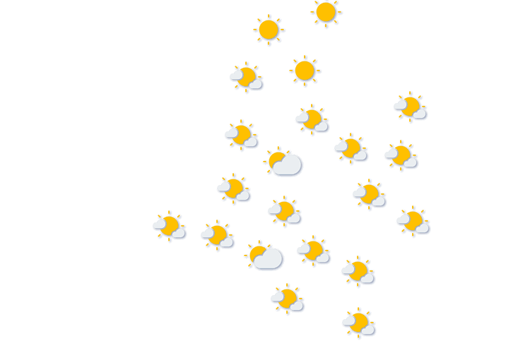 Forecast
