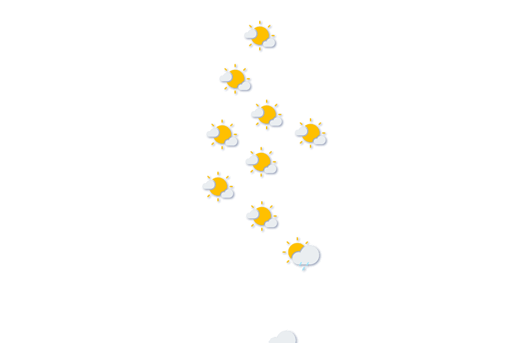 Forecast
