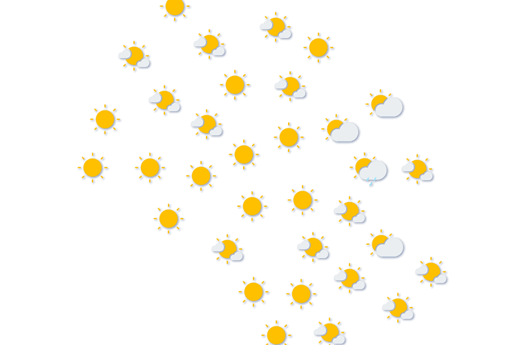 Forecast