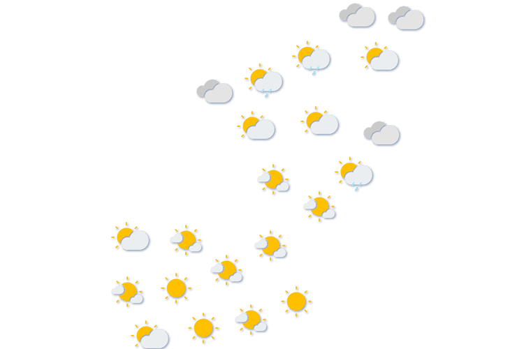 Forecast