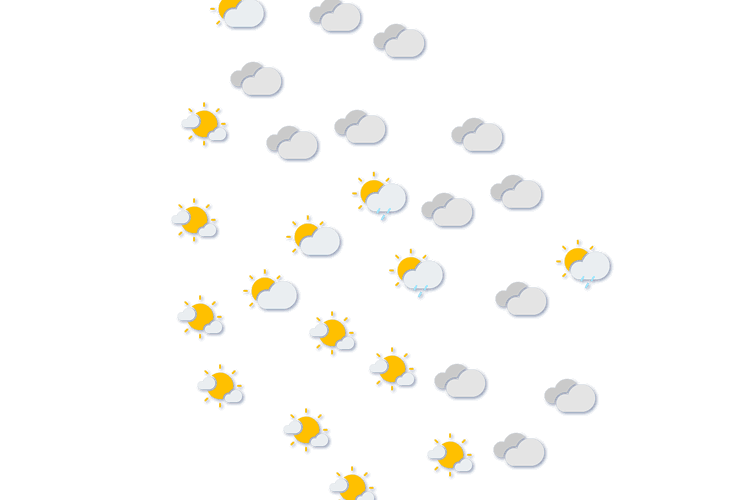 Forecast