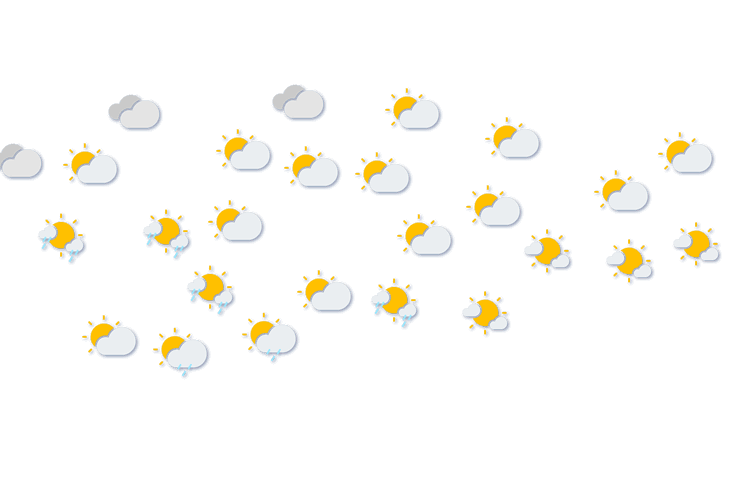 Forecast