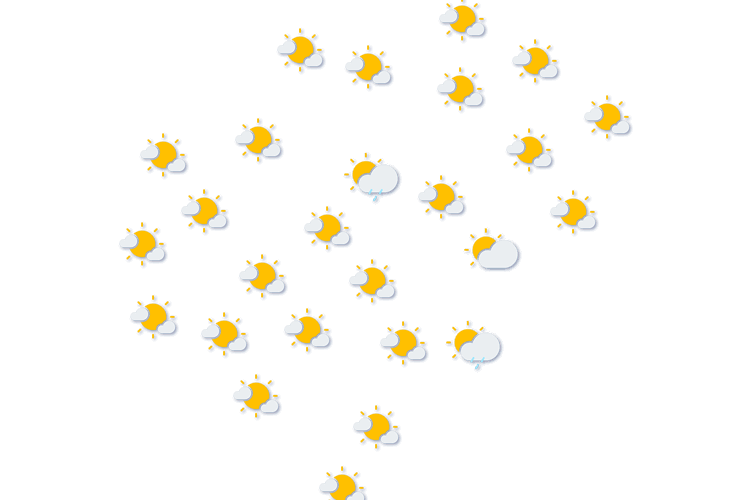 Forecast