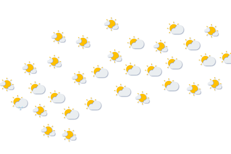 Forecast