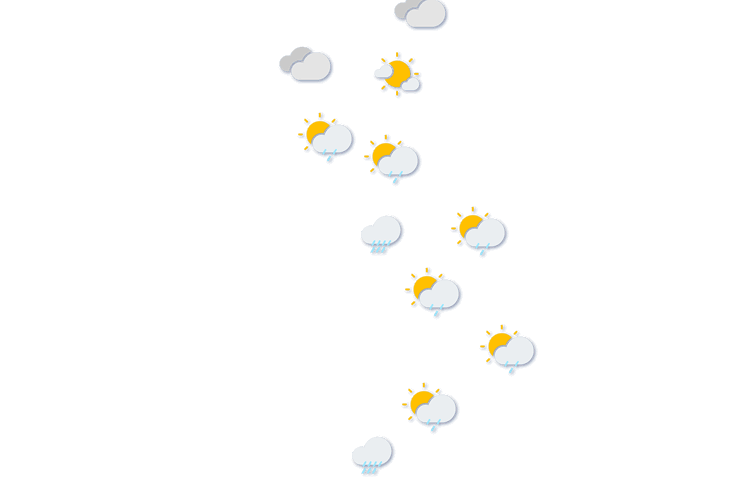 Forecast