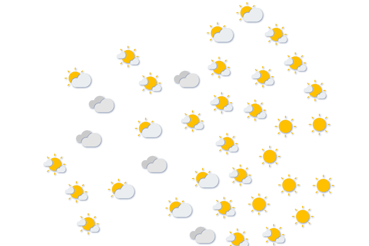 Forecast