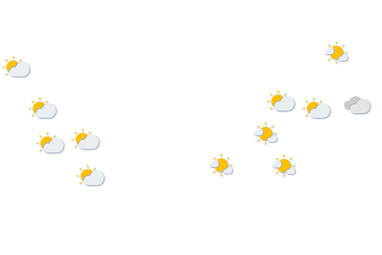 Forecast