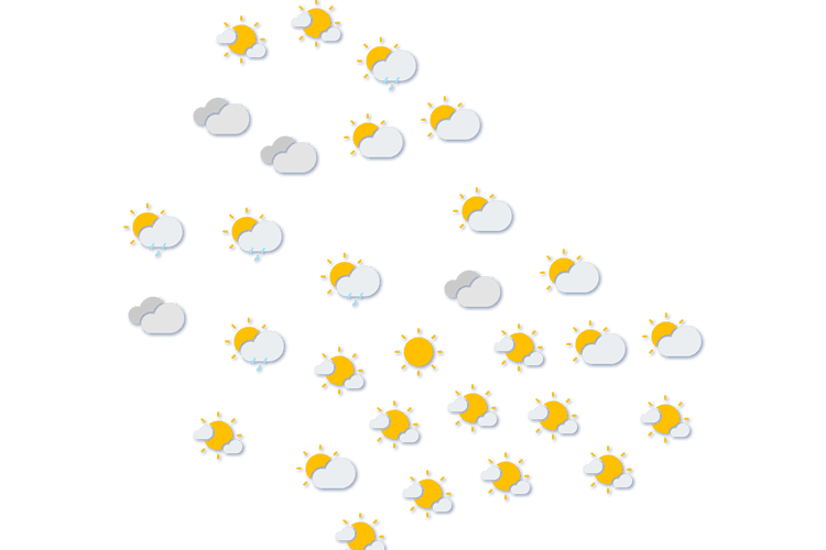 Forecast