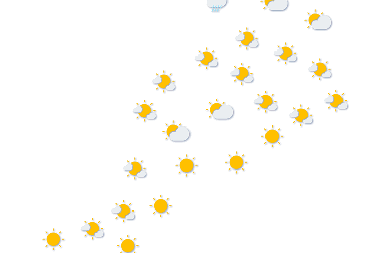 Forecast