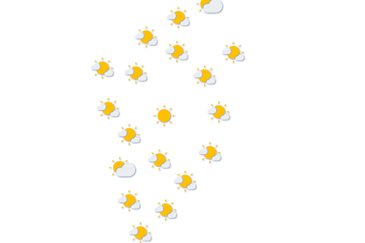 Forecast