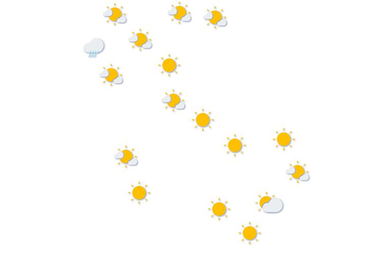 Forecast