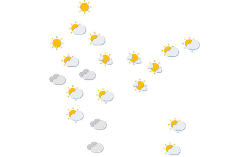 Forecast