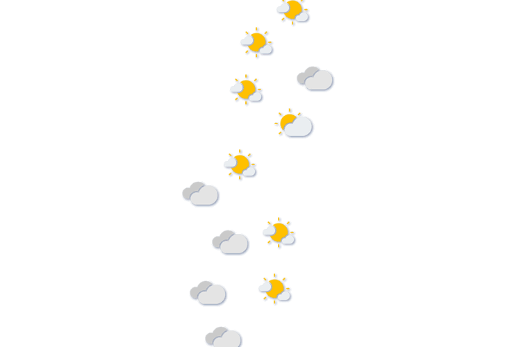 Forecast