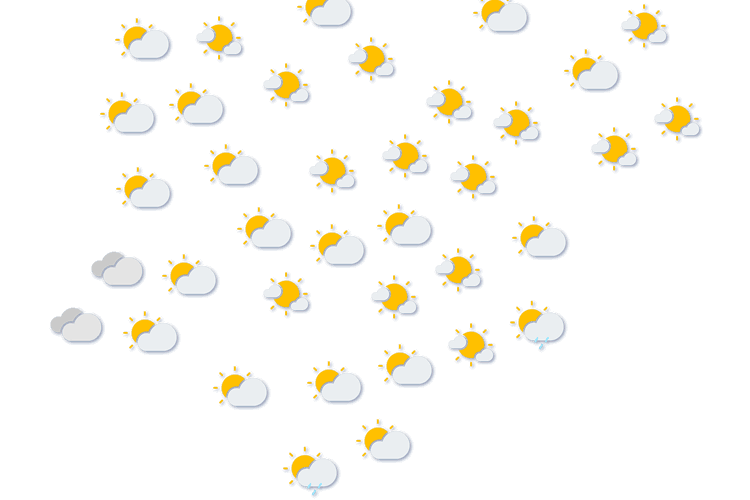 Forecast