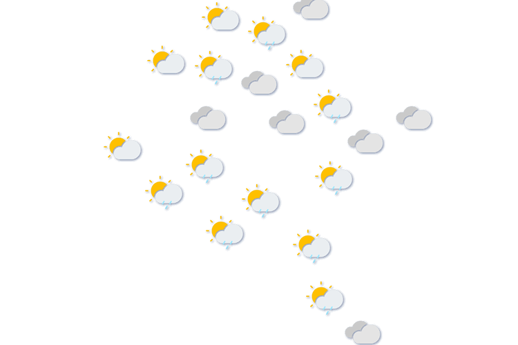 Forecast