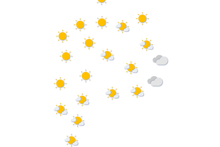 Forecast